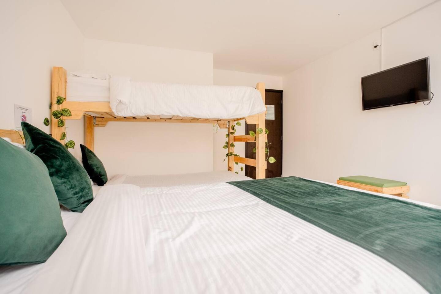 Natural Sevgi Guest house *