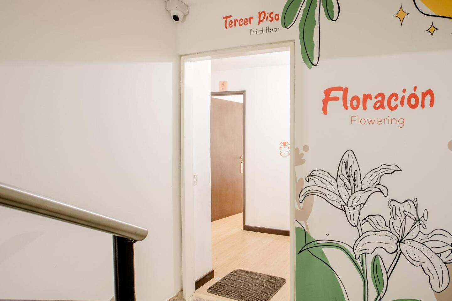 Natural Sevgi Guest house Bogota