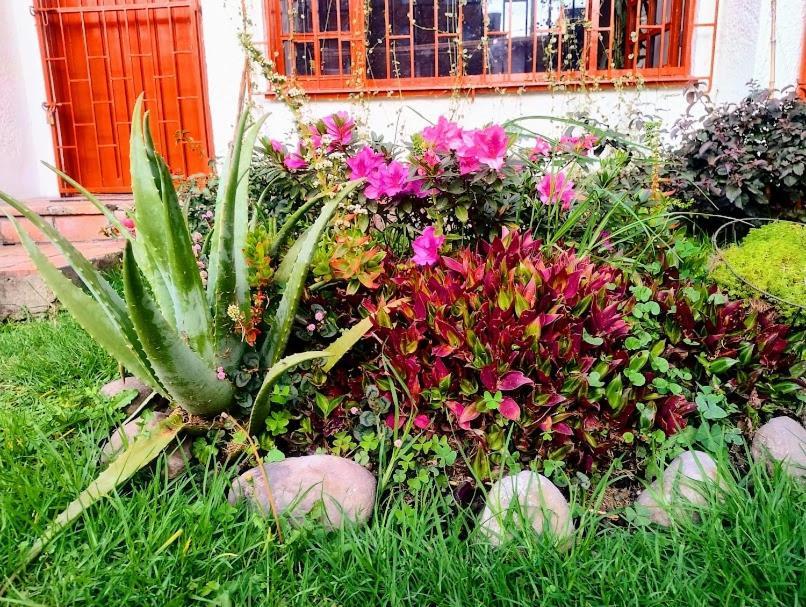 Bed & Breakfast Art And Vitality House Direccion Correcta Calle 24a Bis No 44a 52 *