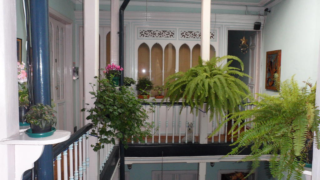 Hostel Zohar *