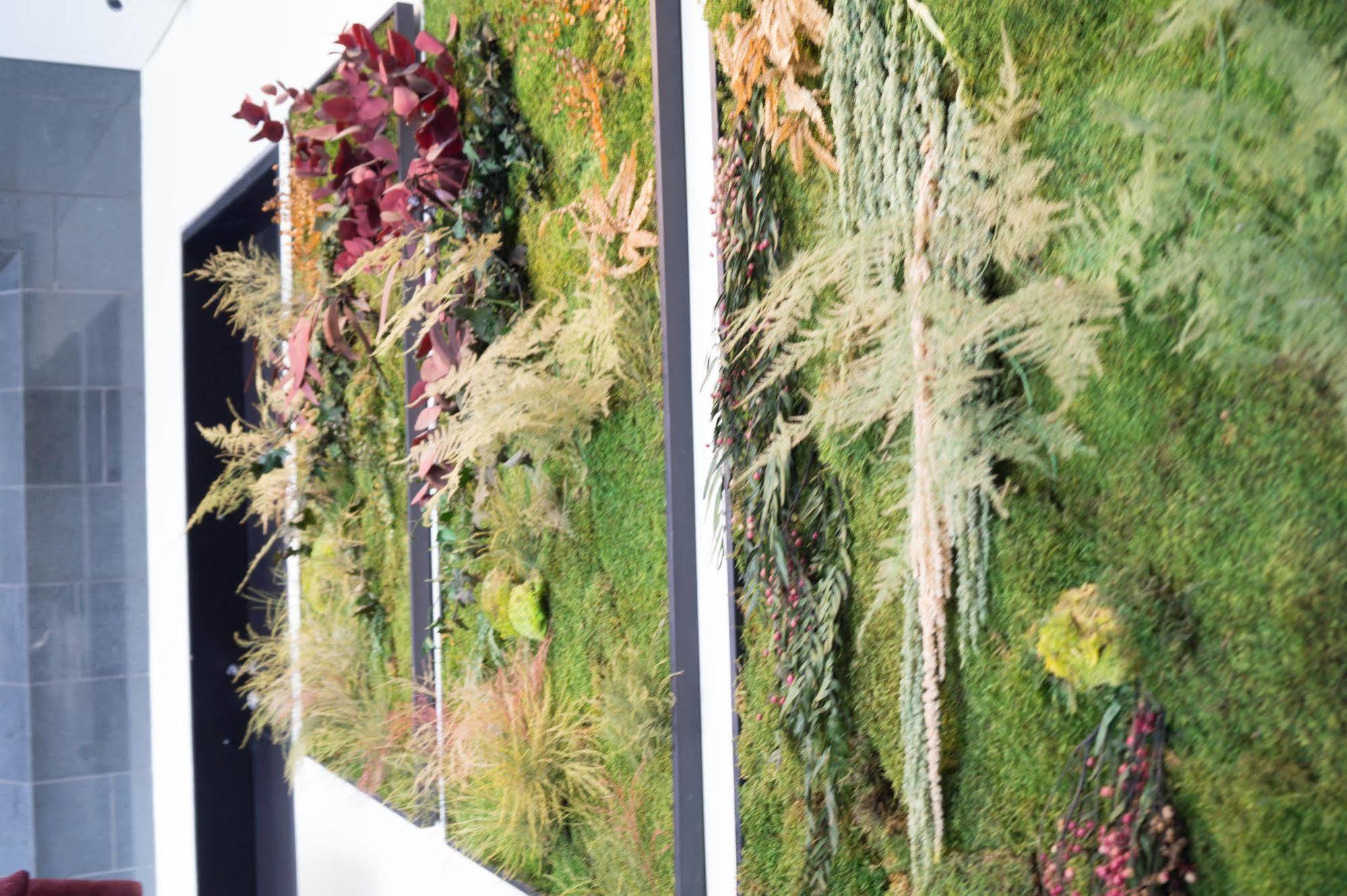Bed & Breakfast Wellness Usaquen Bogota