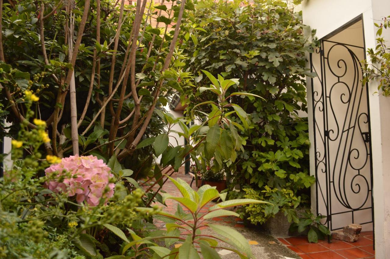 Sue Candelaria Albergue Bogotá