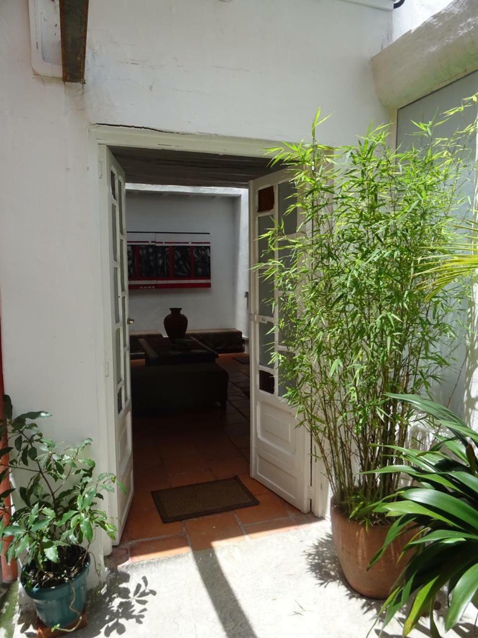 Casa-arbol *