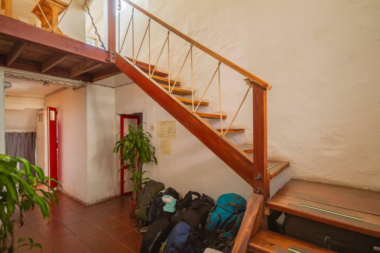 Hostel Botanico