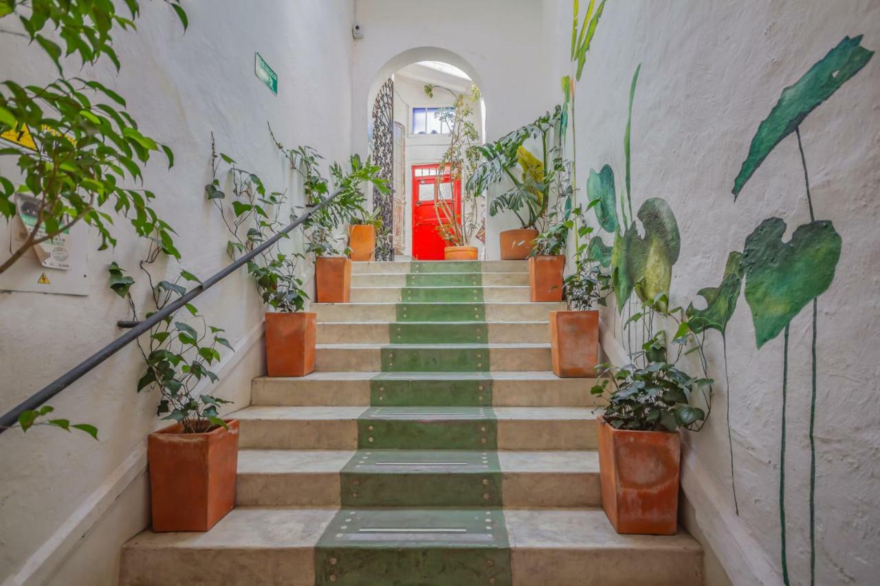 Hostel Botanico