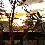 Hotel Coco