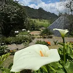 Termales Wellness Hotel