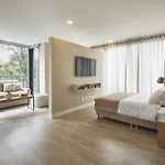 El Virrey 303