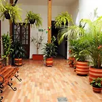 Arche Noah Boutique Hostel