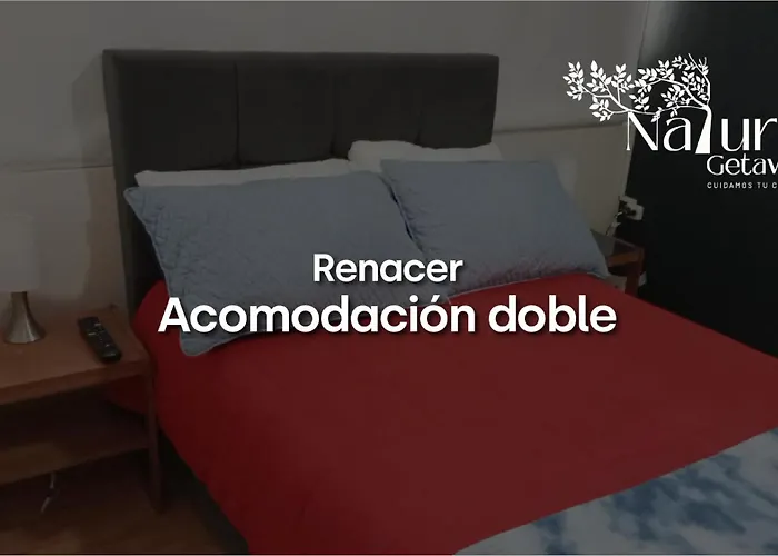 Renacer Natural Getaway Movistar Arena