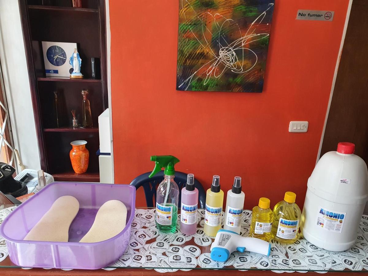 Bed and breakfast Casa Sebastopol 3*