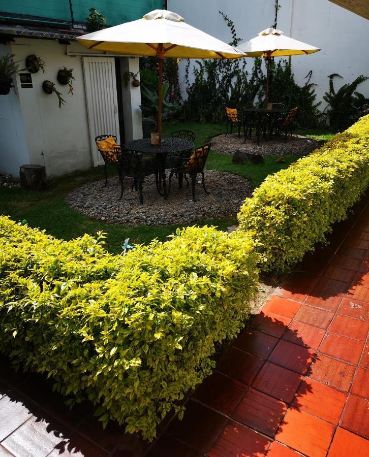 Normandia Gold Bogota