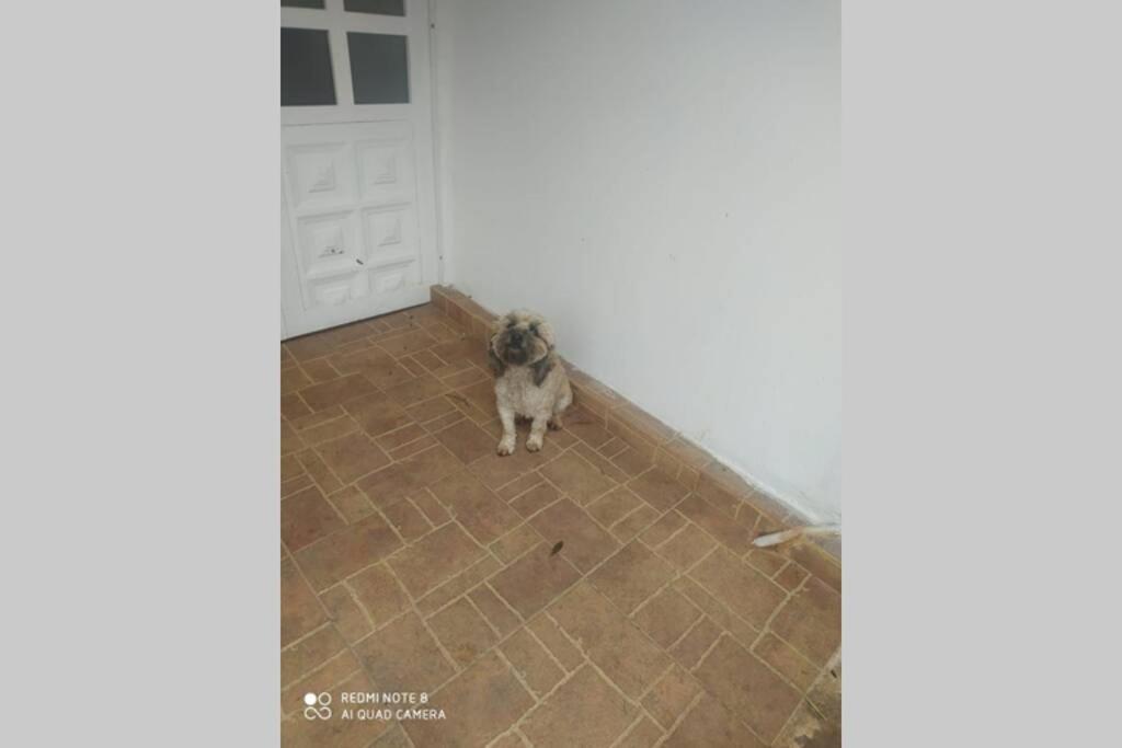 Apartamento Campestre, En Afueras De La Ciudad.