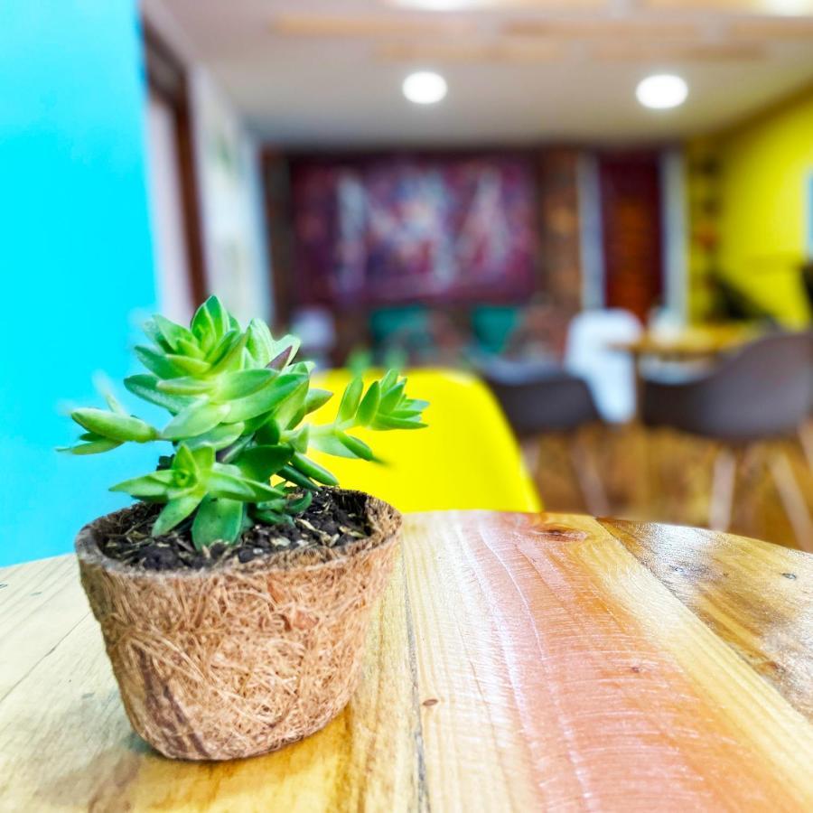 Macondo Hostel