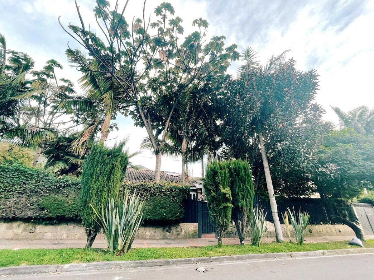Casa Menta Albergue *