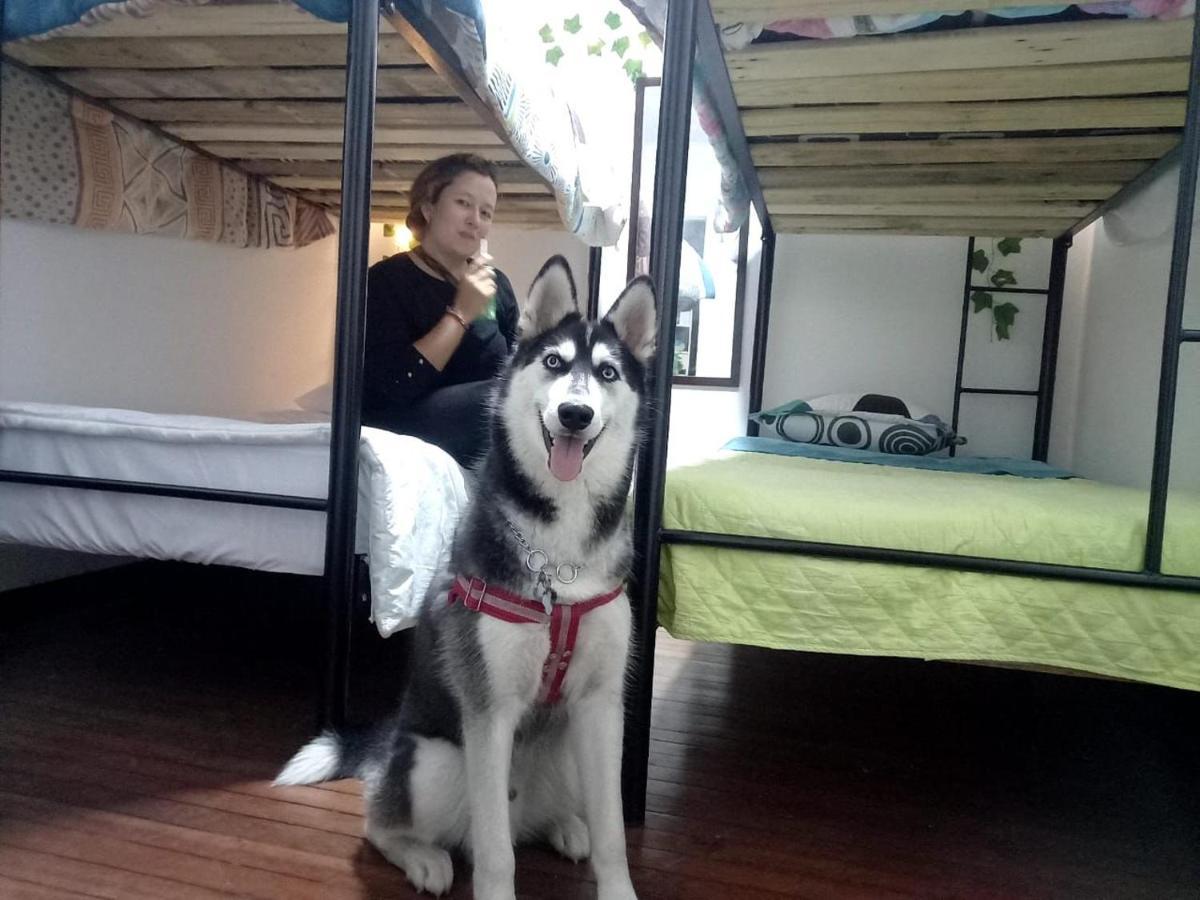 Hostel Zona G