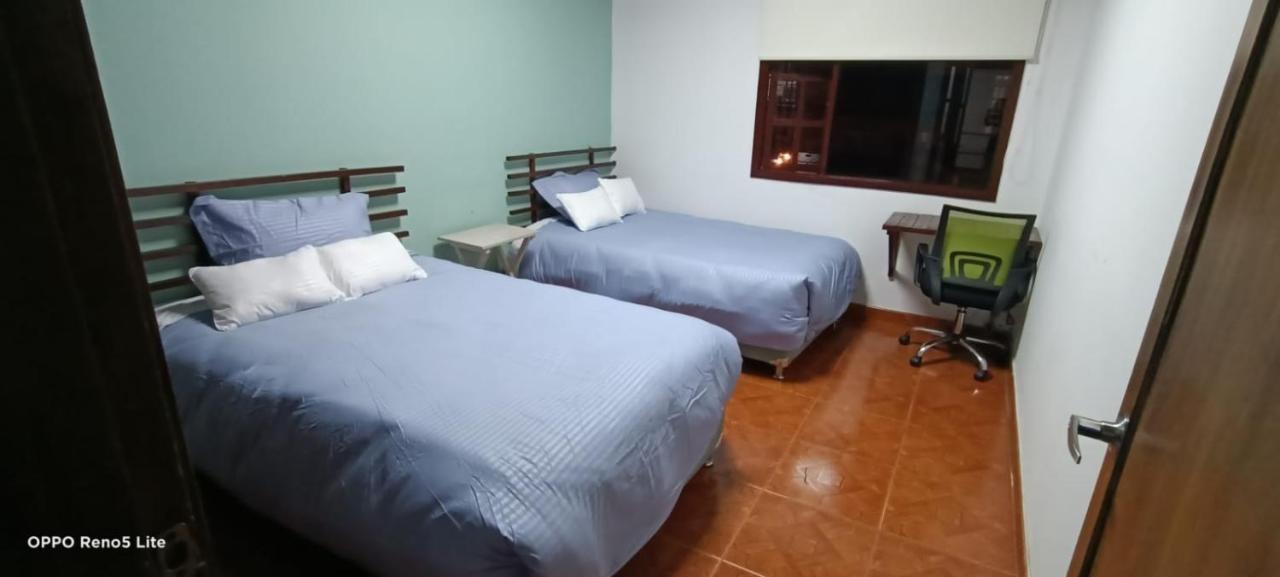 Guest house Hostal Trento *
