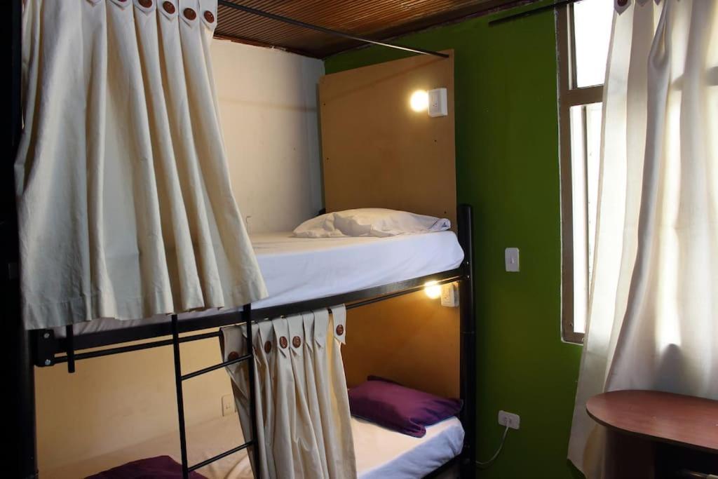 Backpackers - La Terraza Hostel