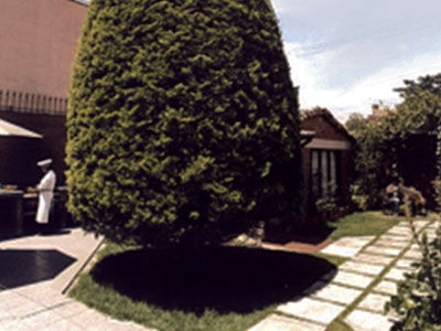 Hotel Casa Zuetana 109 Bogota