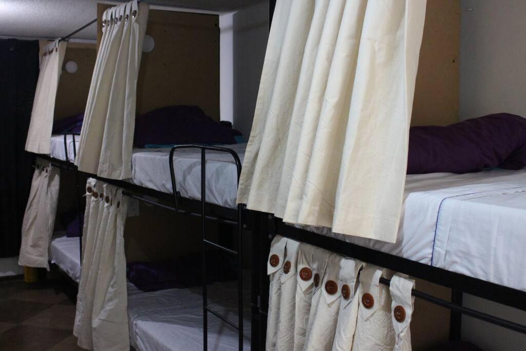 Backpackers - La Terraza * Bogota