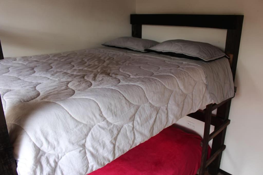 Backpackers - La Terraza * Bogota