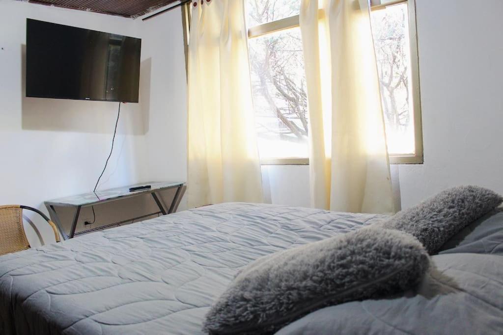 Backpackers - La Terraza Bogota