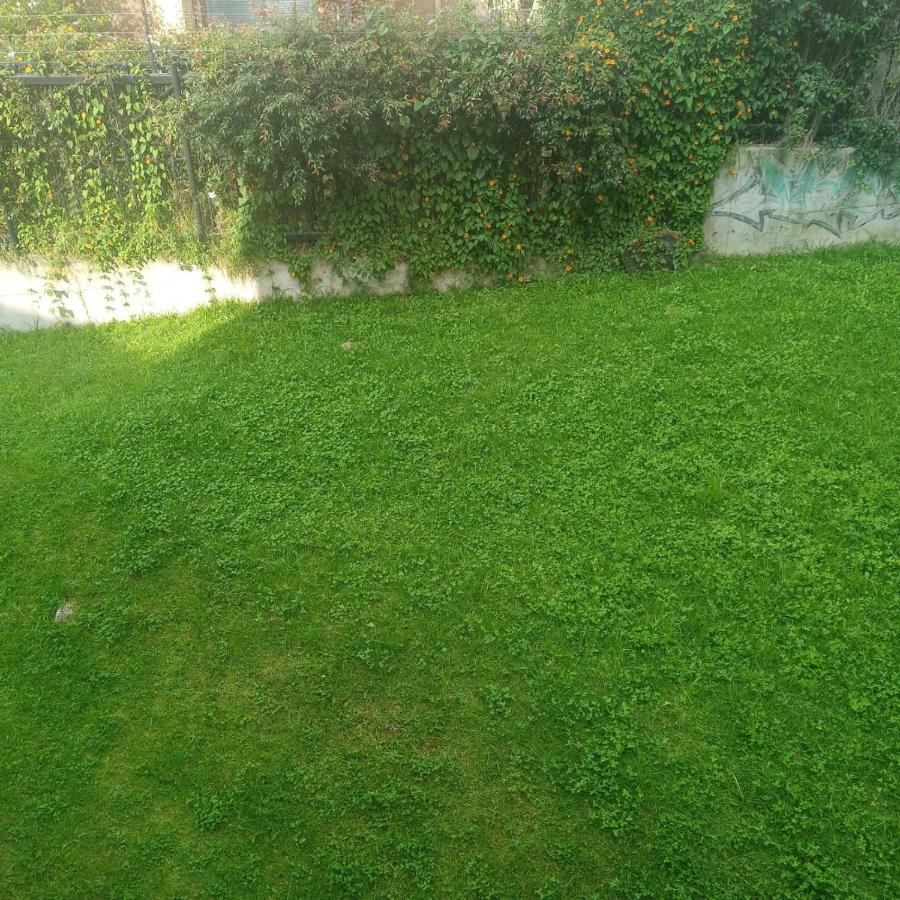 Apartamento Rodeado Por Zona Bogota