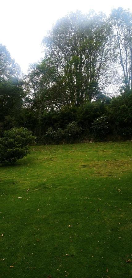 Apartamento Rodeado Por Zona Apartment *