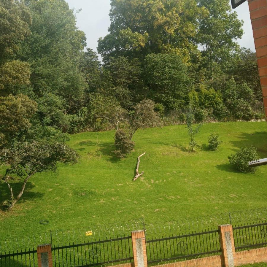 Apartamento Rodeado Por Zona