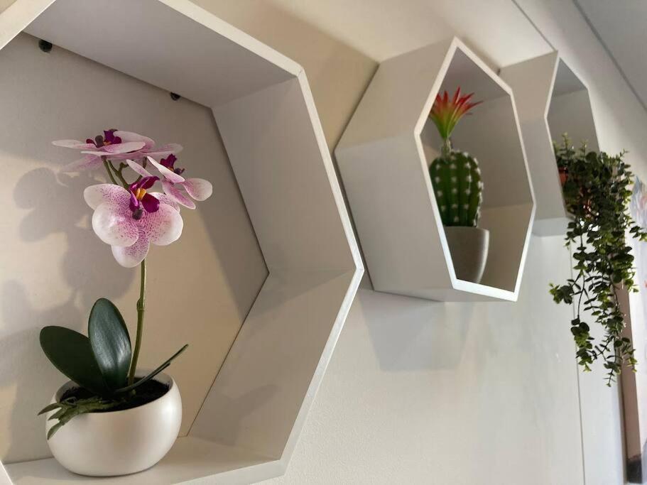 Acogedor Loft En Centro Internacional De *