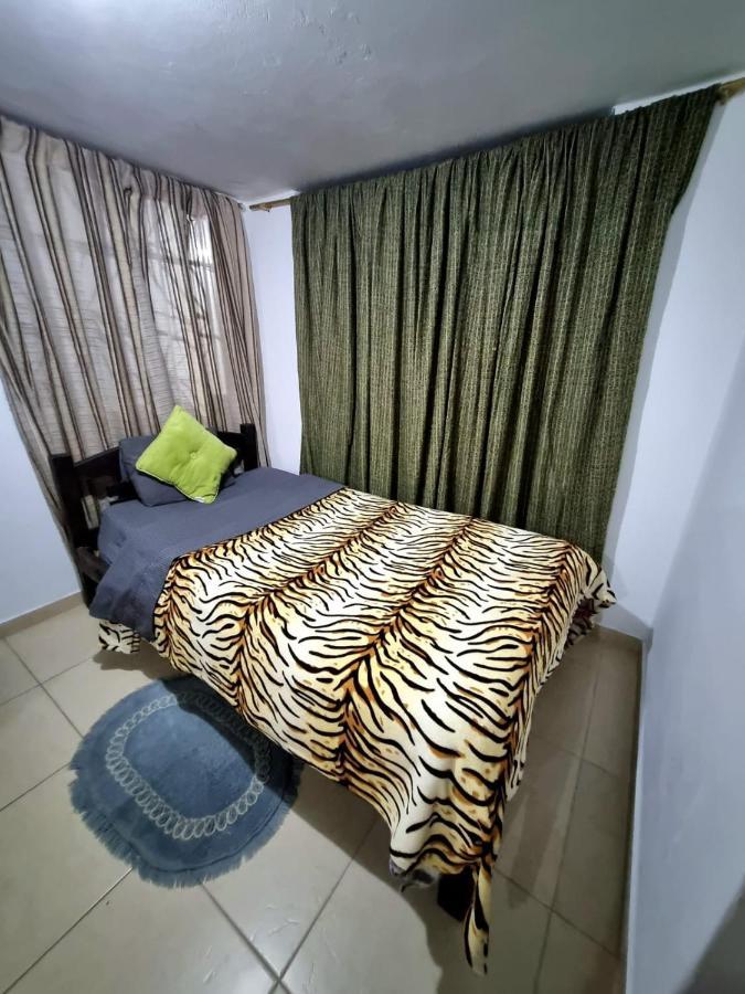 Kongo Guest house *