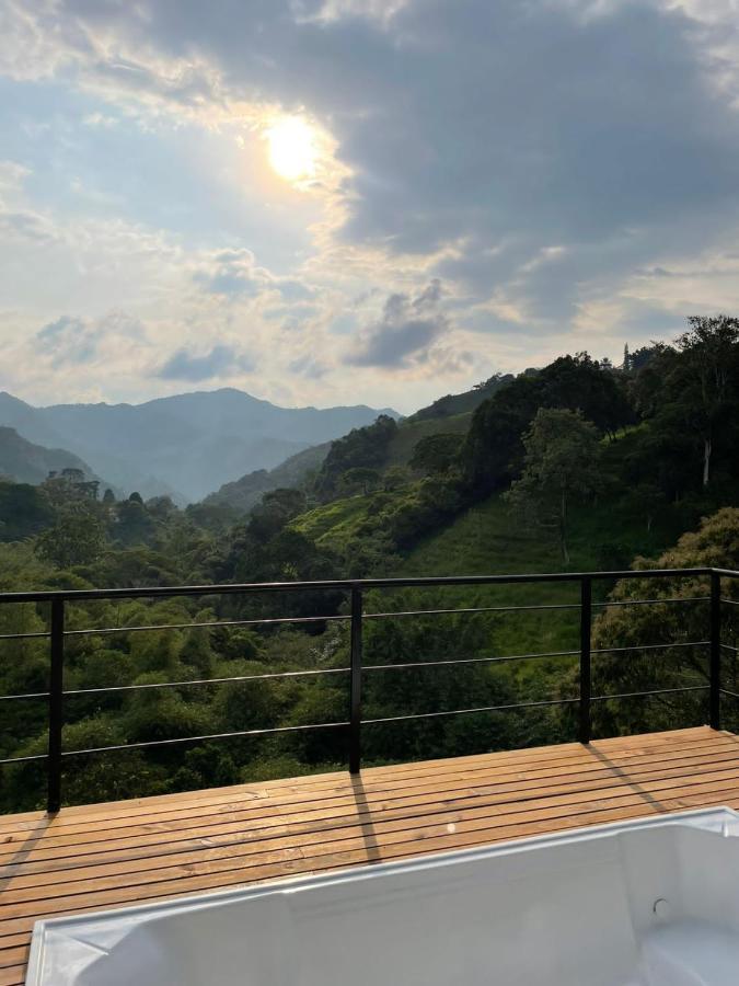 Amari Garzas Bogota
