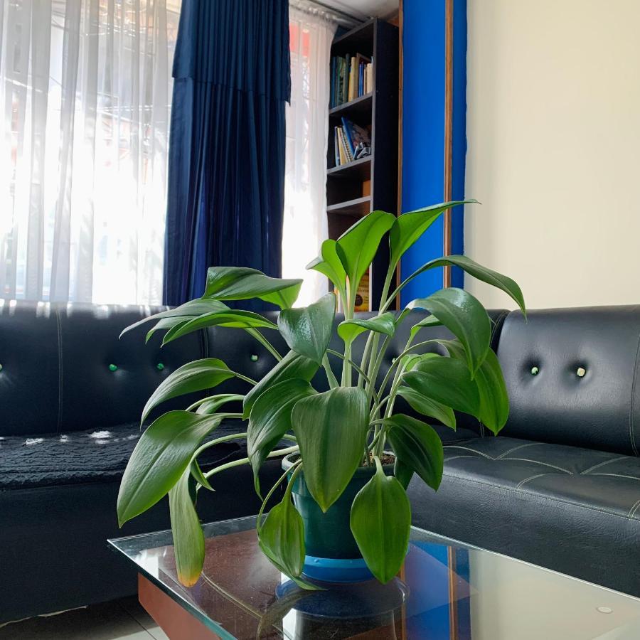 Guest house Cercana Al Aeropuerto
