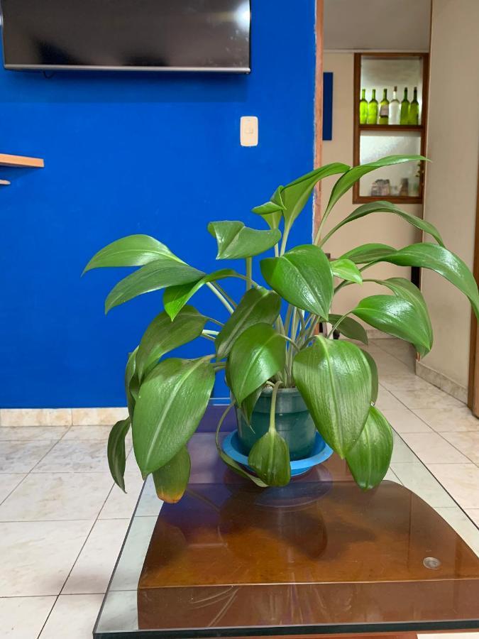 Guest house Cercana Al Aeropuerto