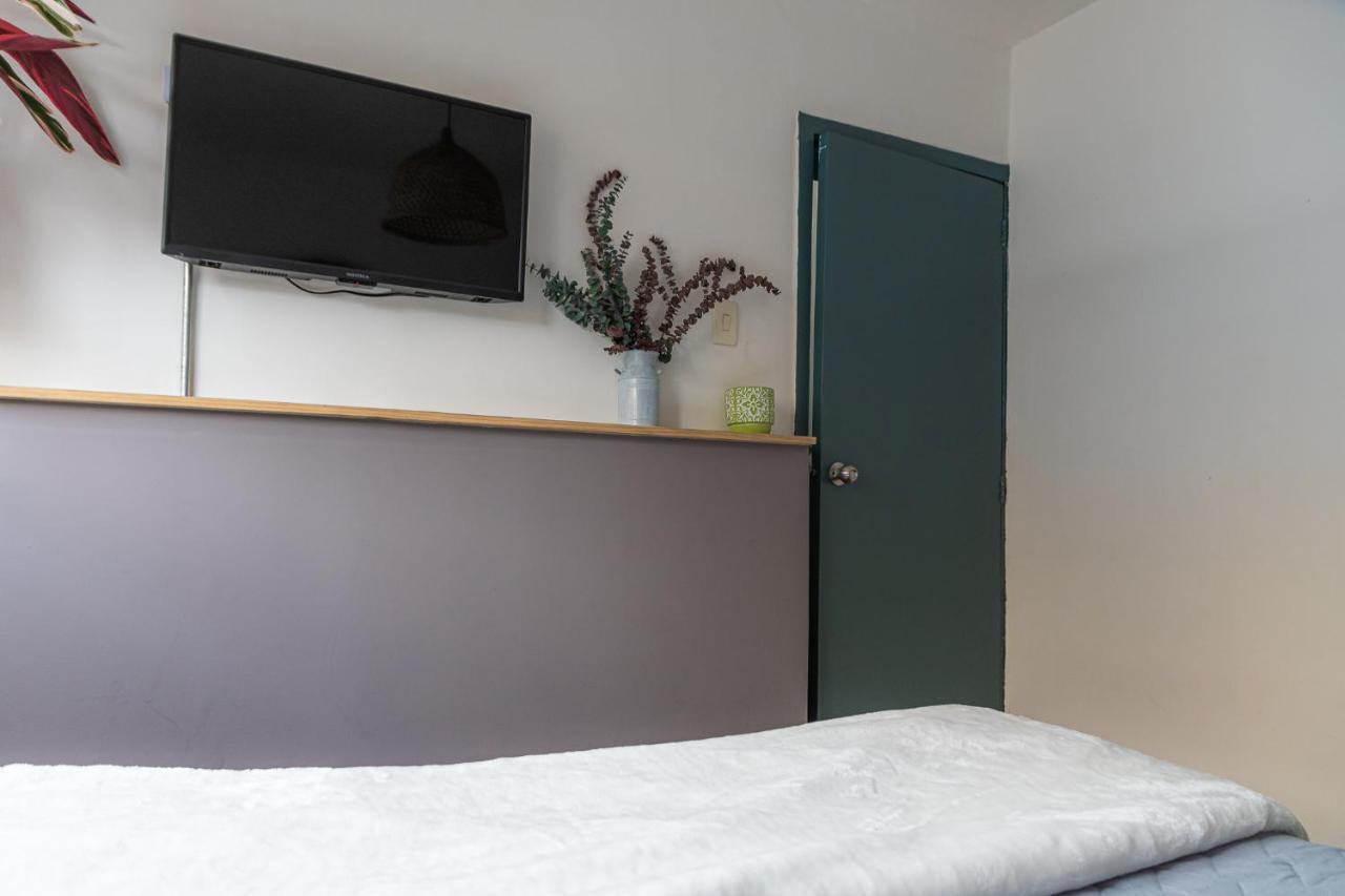 Trip Monkey Zona G Albergue