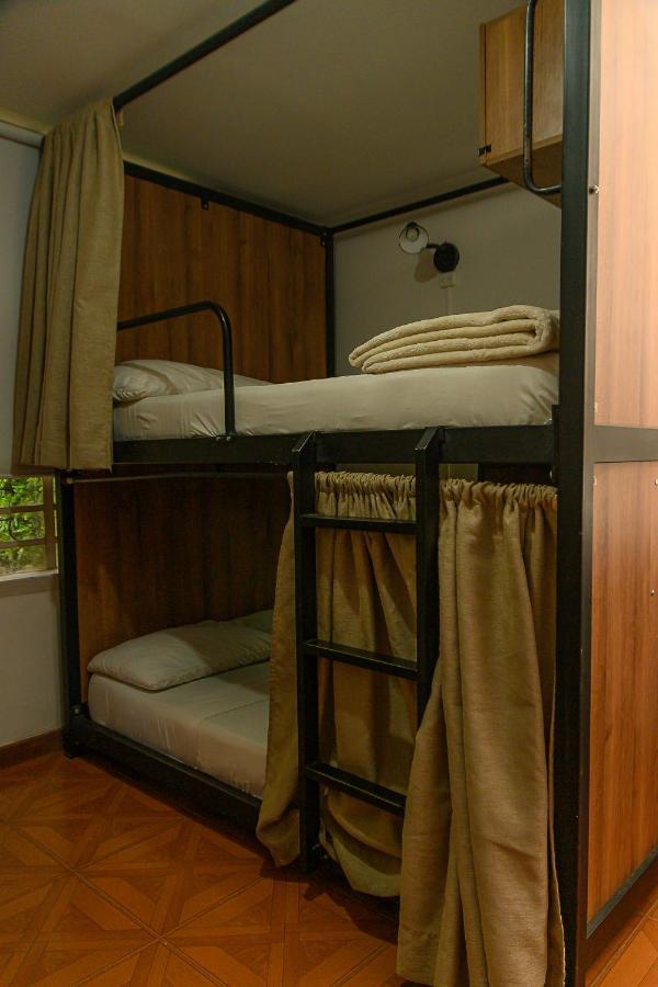 Albergue Trip Monkey Zona G