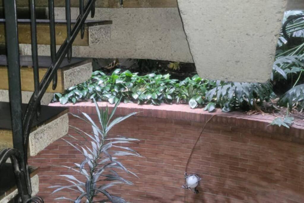 Apartment Apartamento Parkview 93