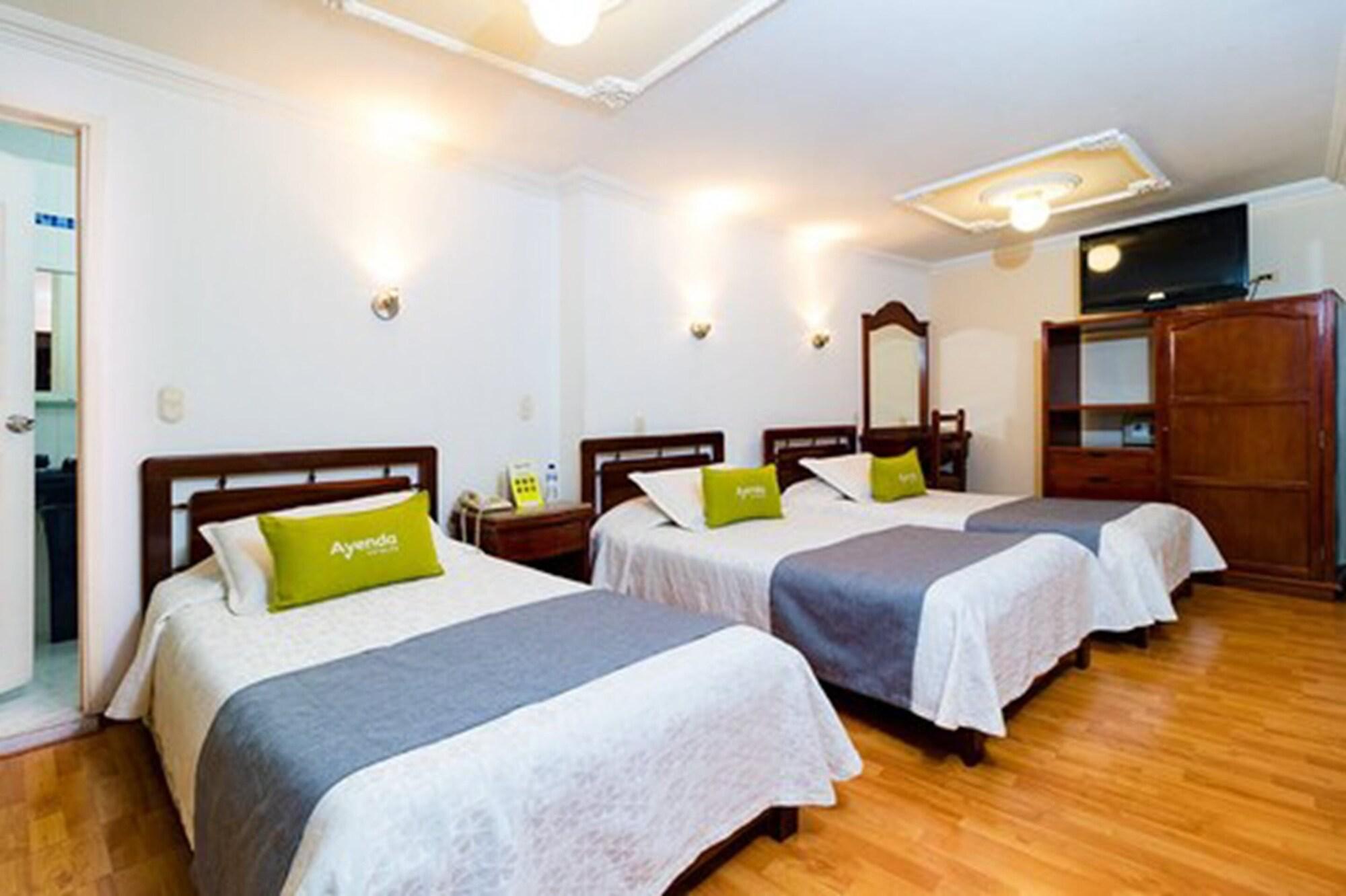 Hotel Virrey Central