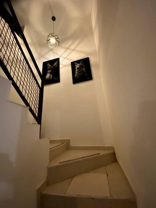 A. Cosy Inside A Bogota
