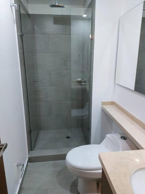 Apartment Hermoso Loft San Martin