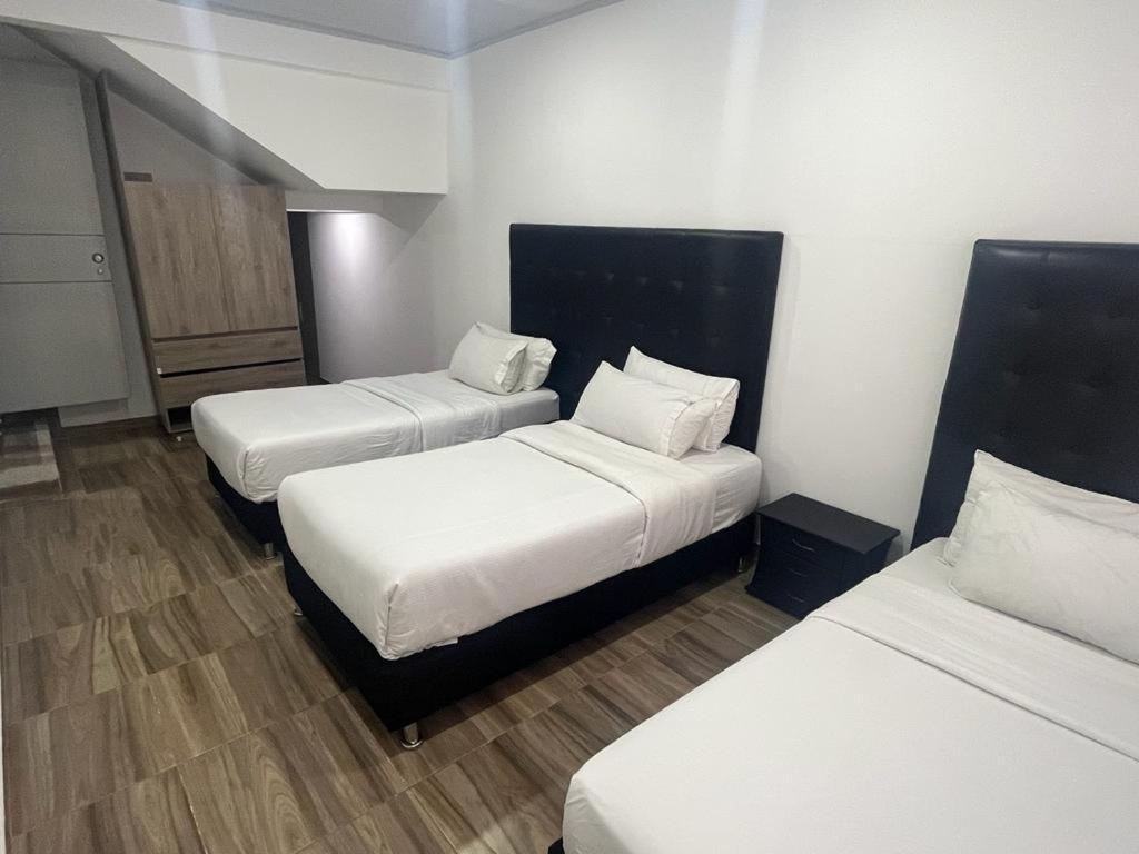 Hotel American House *