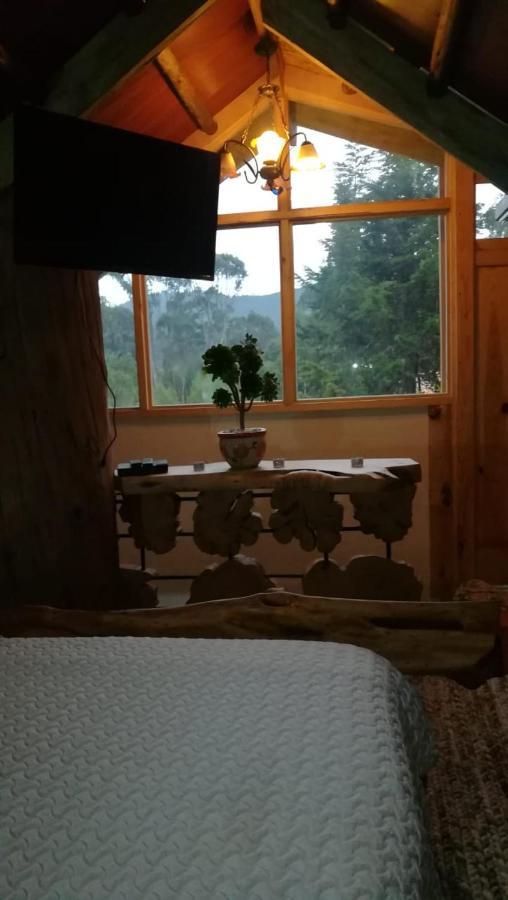 Cabana En El Arbol Picasso Lodge *