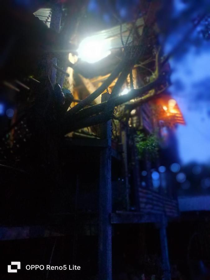 Cabana En El Arbol Picasso