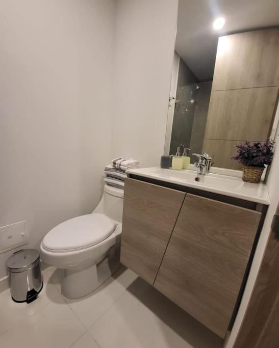 Centrico Loft Turistico-negocios Apartment *