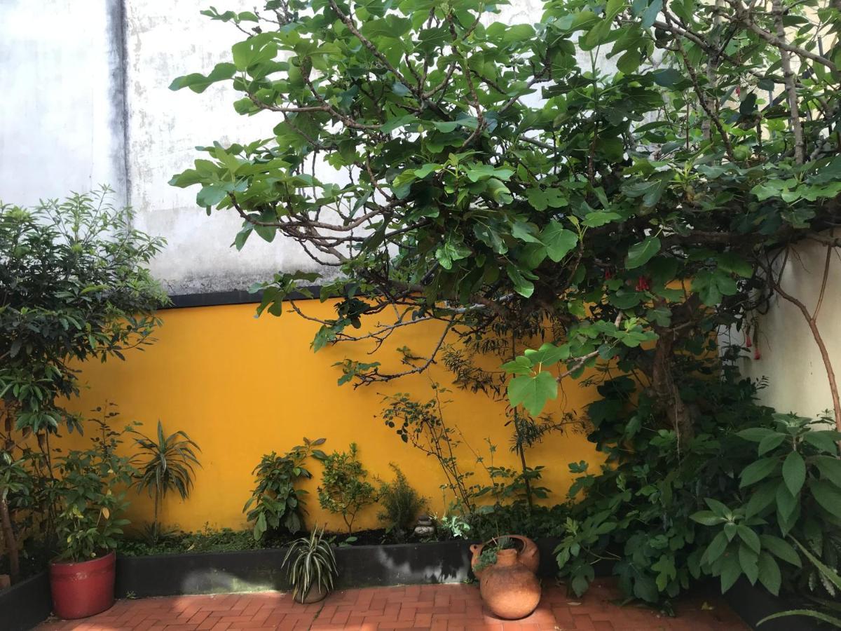Hospedagem domiciliar Anastasio Gutman House