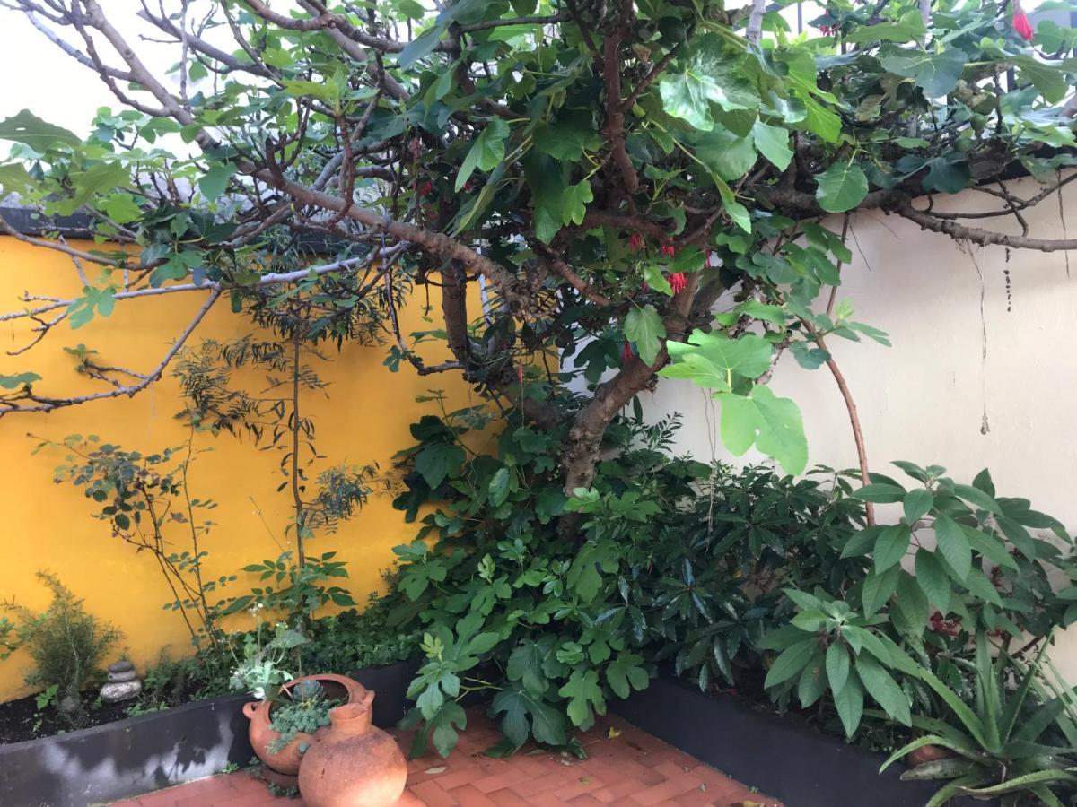 Anastasio Gutman House Hospedagem domiciliar *
