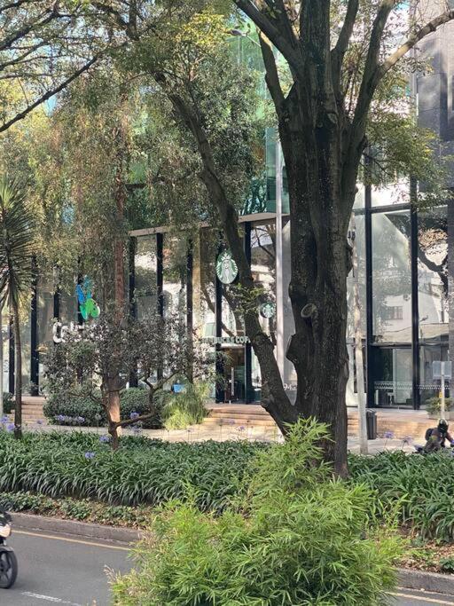 Acogedor Parque 93 Bogota