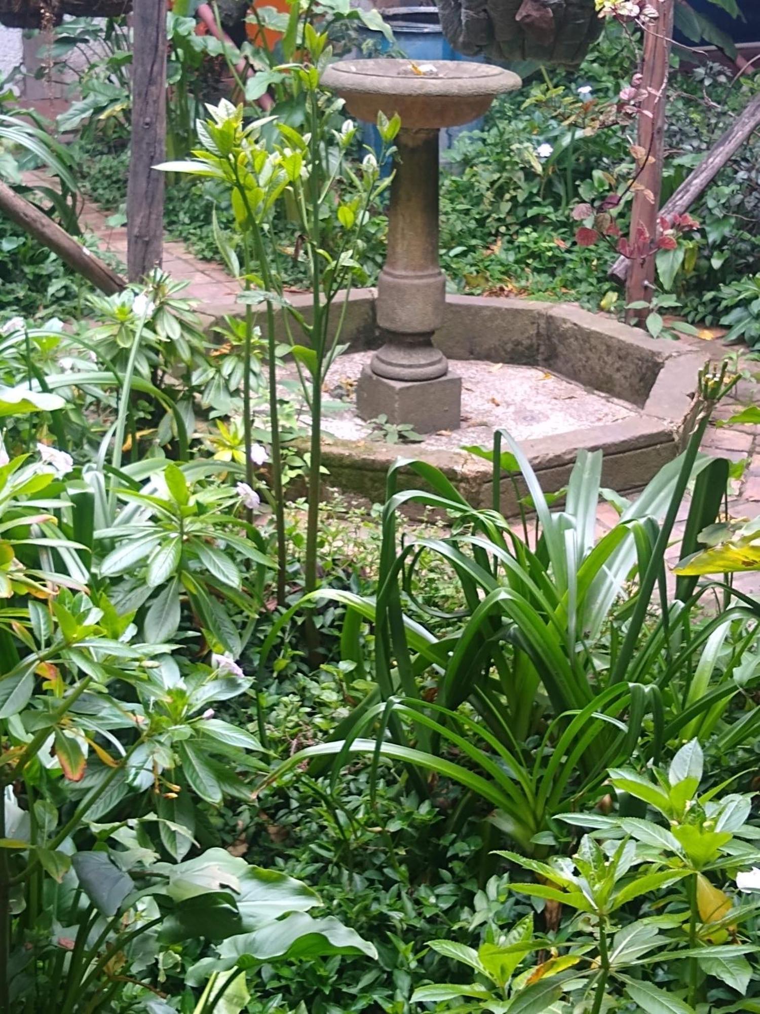 Downtown, Blue Home, Nature Inspired Apartment Bogota