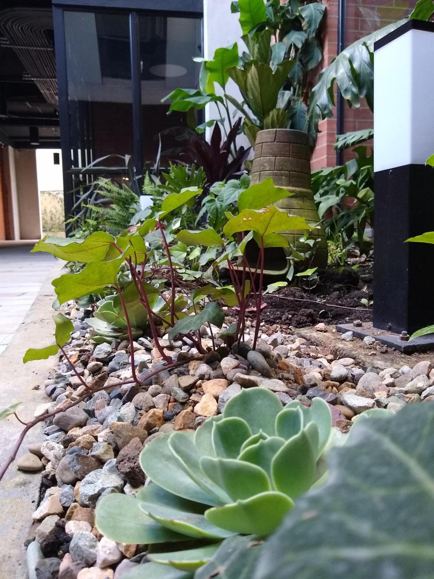 Apartment Downtown, Blue Home, Nature Inspired Bogota