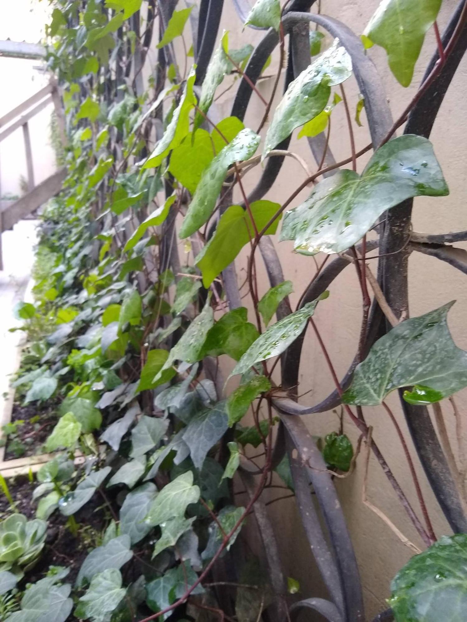 Downtown, Blue Home, Nature Inspired Apartment Bogota